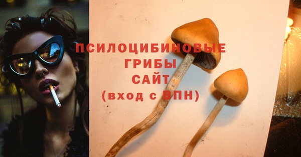 круглые Гусев