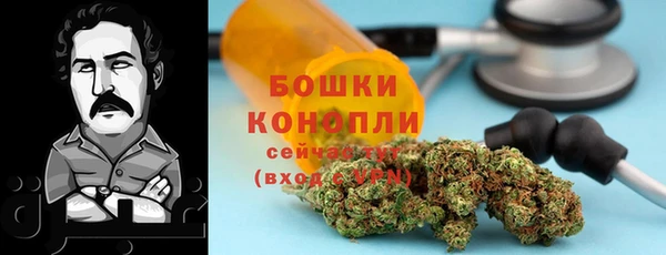 ешки Гусиноозёрск