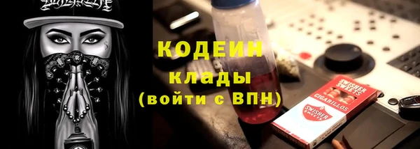 круглые Гусев
