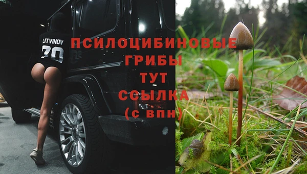mix Дмитров