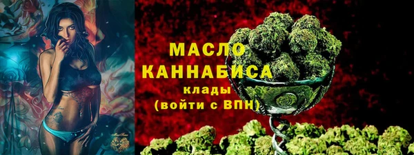 гидра Весьегонск
