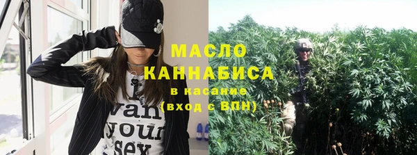 круглые Гусев