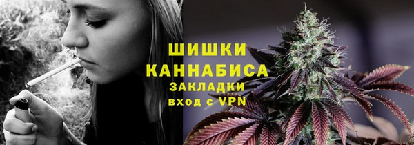 круглые Гусев